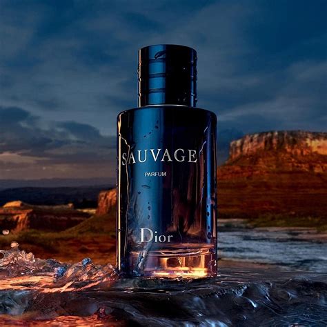 dior sauvage usa|sauvage Dior best price.